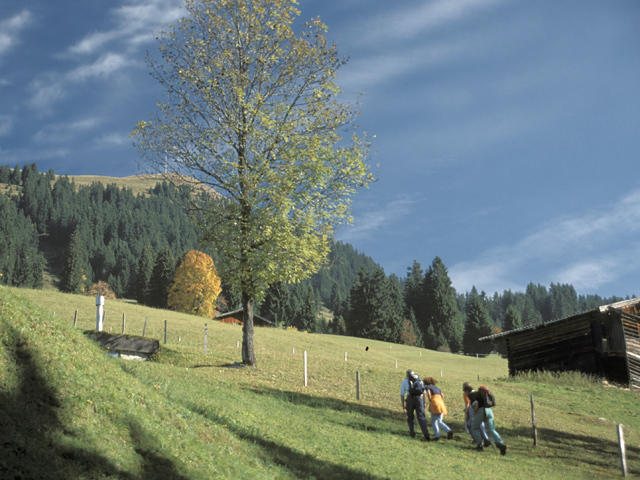 Apartament Neukumhof Westendorf Zewnętrze zdjęcie